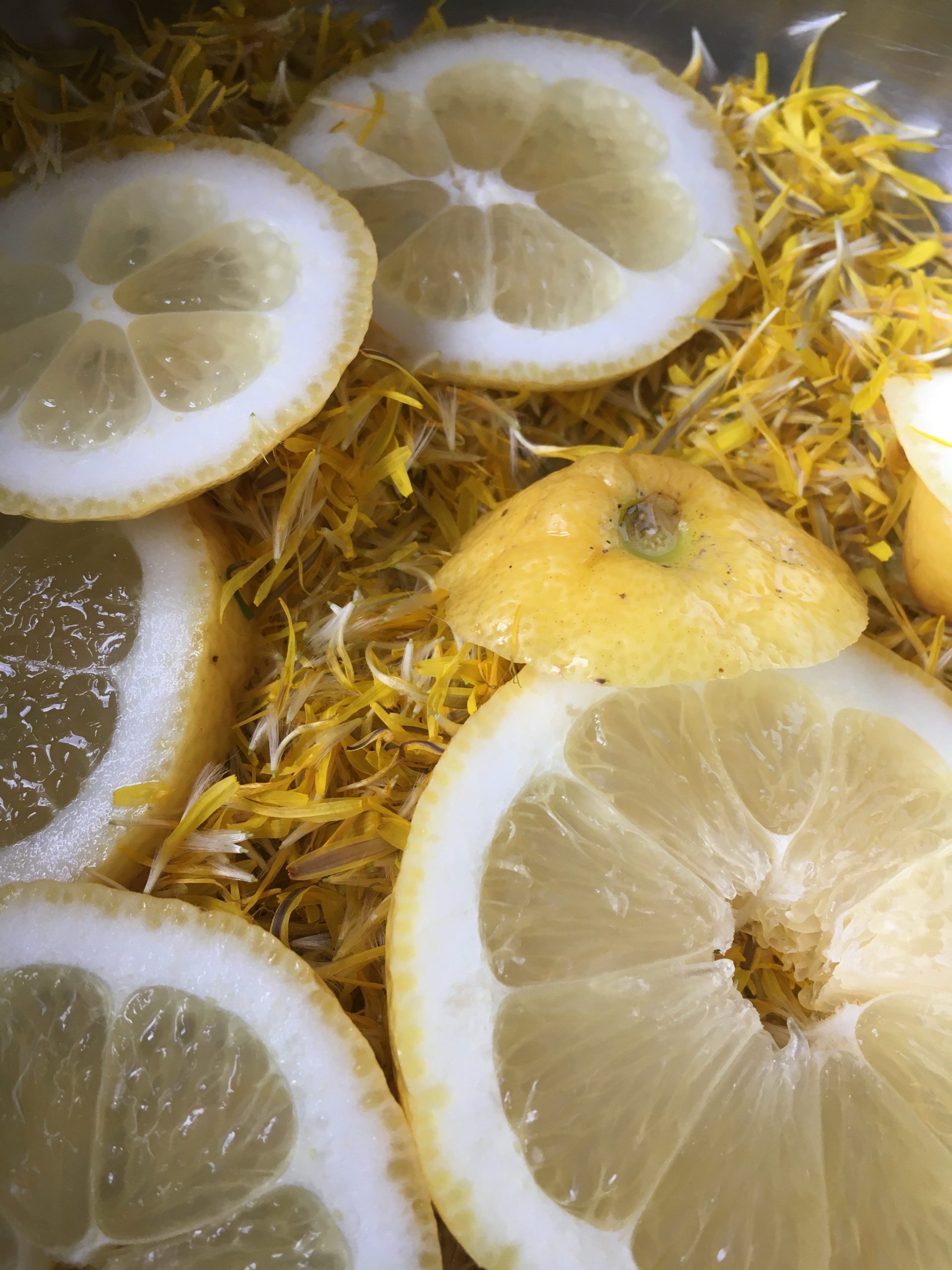 Loewenzahnblueten mit Zitronenscheiben